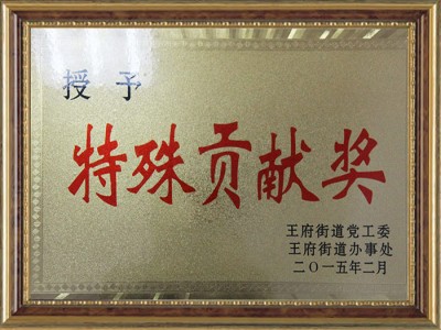 特殊貢獻(xiàn)獎