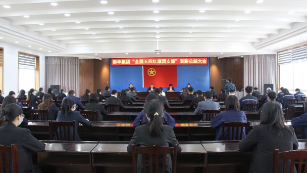 集團(tuán)召開“全國五四紅旗團(tuán)支部”表彰總結(jié)大會