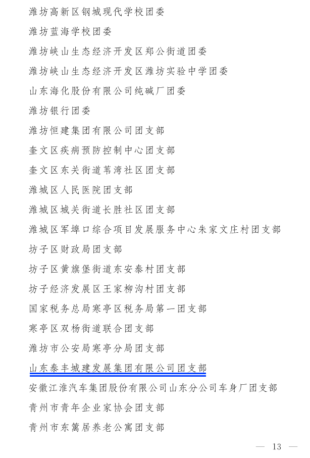濰團(tuán)發(fā)【2022】11號(hào)--關(guān)于表揚(yáng)2021年度“濰坊市**共青團(tuán)員”“濰坊市**共青團(tuán)干部”“濰坊市五四紅旗團(tuán)組織”“濰坊市青春擔(dān)當(dāng)好青年_13.png